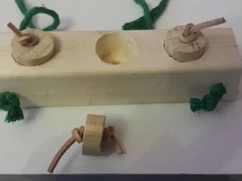 foraging toy