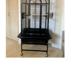 Ecelectus Cage size?