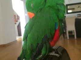 Hi All !