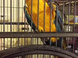hi everyone newbie here