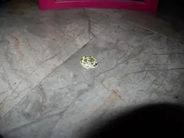 new owner concerned!