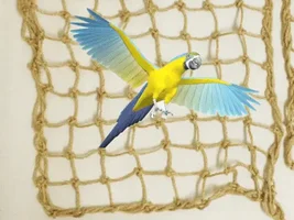 ‘Playgrounds’ for medium-large parrots?