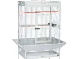 Cage modifications for injured conure