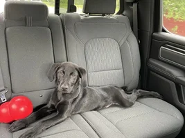 New Family Member