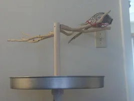 Bob's Playstand