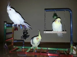 Just wanted to share a picture of 3 of my boys