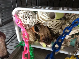 TELL ME…. Am I using SAFE materials products hooks and toys for my quaker?