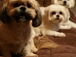 New to this forum with a new 2yo Eckie