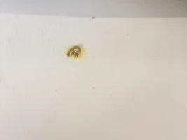 Poop question, not sure this is normal?