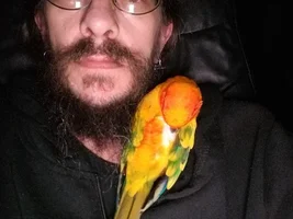 Show me your sleepy bird photos