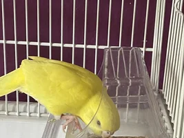 New baby!