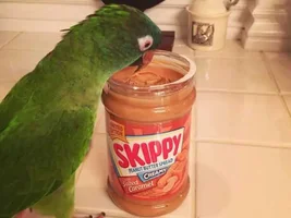 December POTM Contest