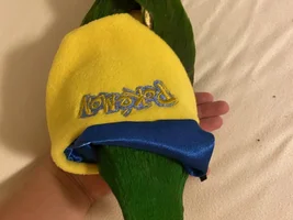 Parrot Hoodies