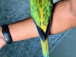 New member from Bahrain 🇧🇭