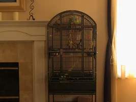 The Cage!