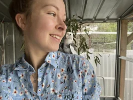 Hannah's little Parrots thread 🦜