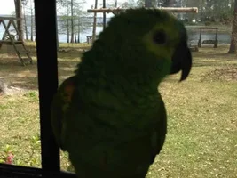 Doesn't Like New Anything!!