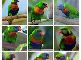 AI pics