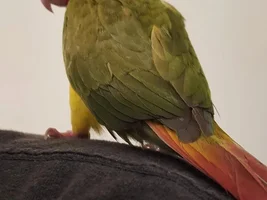 Confused and a bit worried about mixed behavior
