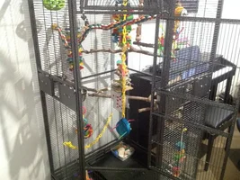 Cage is here!!