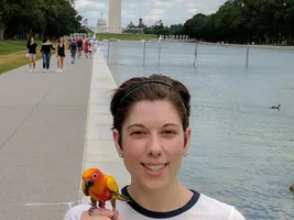 Ollie goes on vacation to Washington DC!