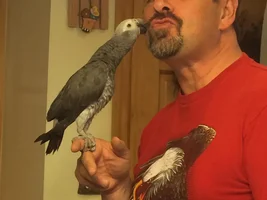 Selfie with your bird :)