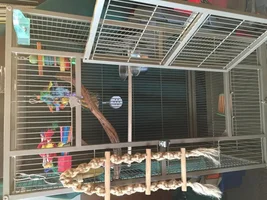 Possible Fall from top of cage?