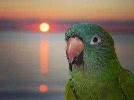 Gilbert's beach vacation
