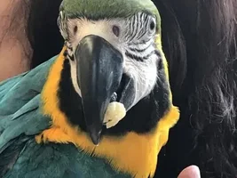 WakaWaka's Old Photo Album