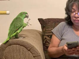 Mommy...pick me up!