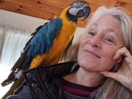 "Importing" my beloved to Canada - Please help!