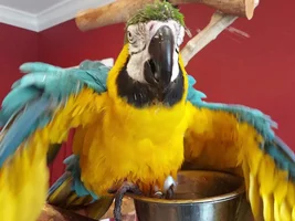 Max Taking Bath