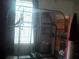 Cage too big