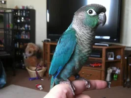 Fun with Rory!