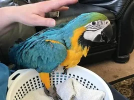 WakaWaka's Old Photo Album