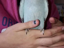Meet Rhiannon
