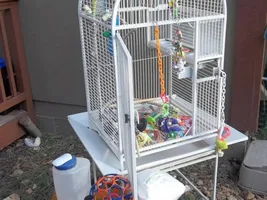 Does anyone know who made this cage?
