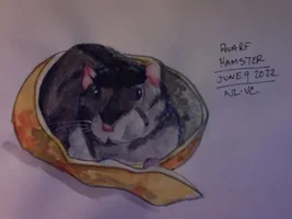 Domnijoe Pets and Art