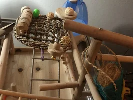 TELL ME…. Am I using SAFE materials products hooks and toys for my quaker?