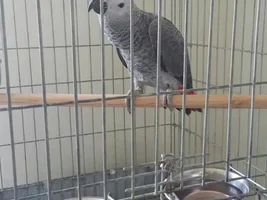 Meet Gabby