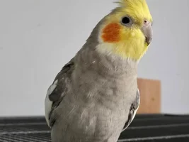 Share a quick picture
