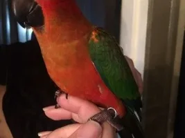 Decision- Bring My Baby Sun Home or Not?