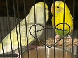 Hi hi!!