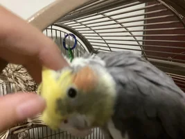 Giving Egg some love!-
