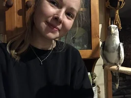Hannah's little Parrots thread 🦜