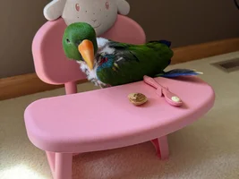 Royal King Ekkie