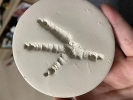Eclectus Foot Print?