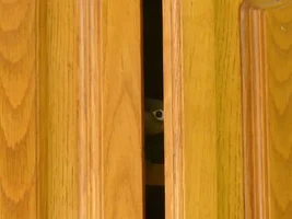Funny conure stories