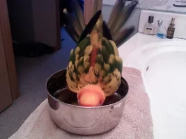 I guess it's bath time, haha