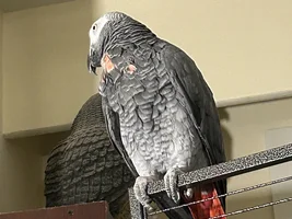 Share a quick picture
